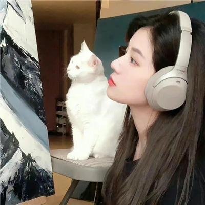 高调人生
